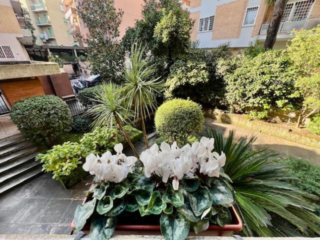 Apartamento La Casa Delle Camelie Roma Exterior foto